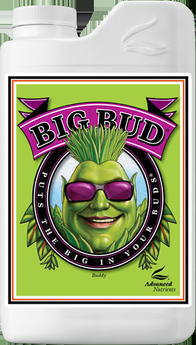 Advanced Nutrients Big Bud 250 ml