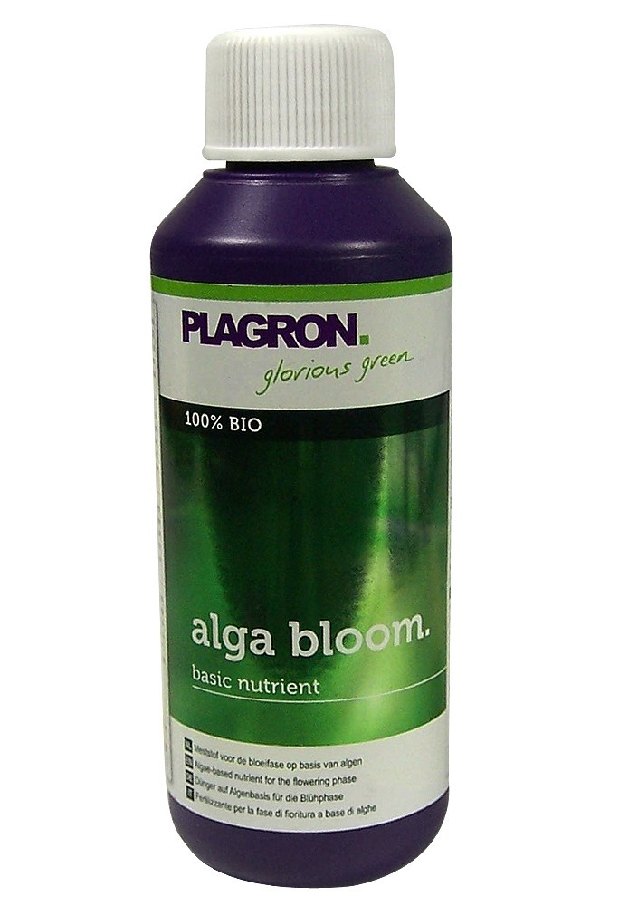 Plagron Alga Blüte 100 ml